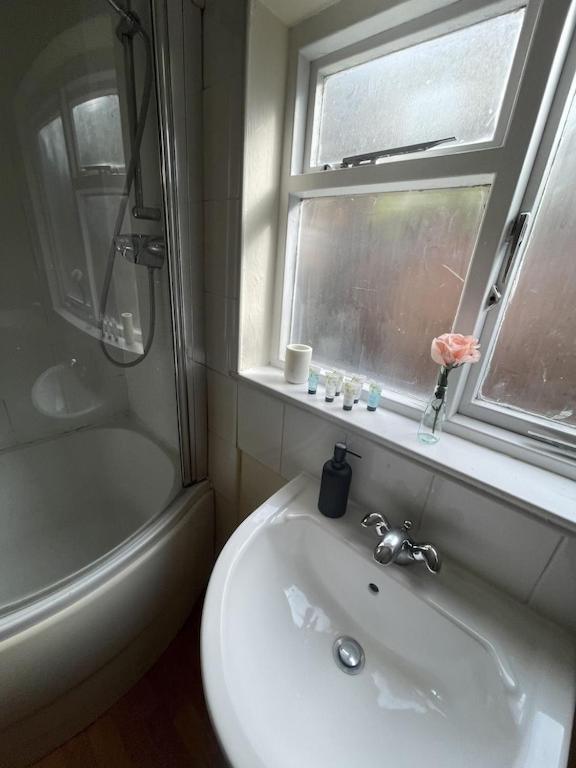 Beautiful Ground Floor Garden Flat Apartment London Exterior photo
